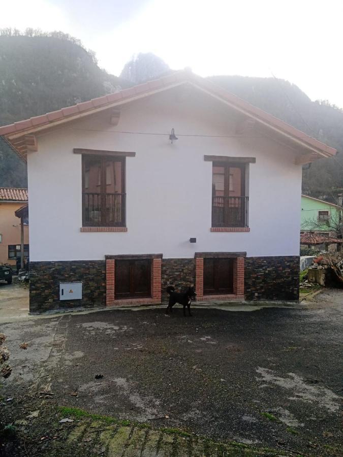 Casa Rural Güilones, Parque Natural de Ponga Sobrefoz Exterior foto